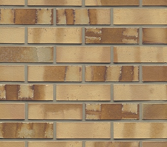 Muhr NF 06 Hellbraun-bunt spezial glatt